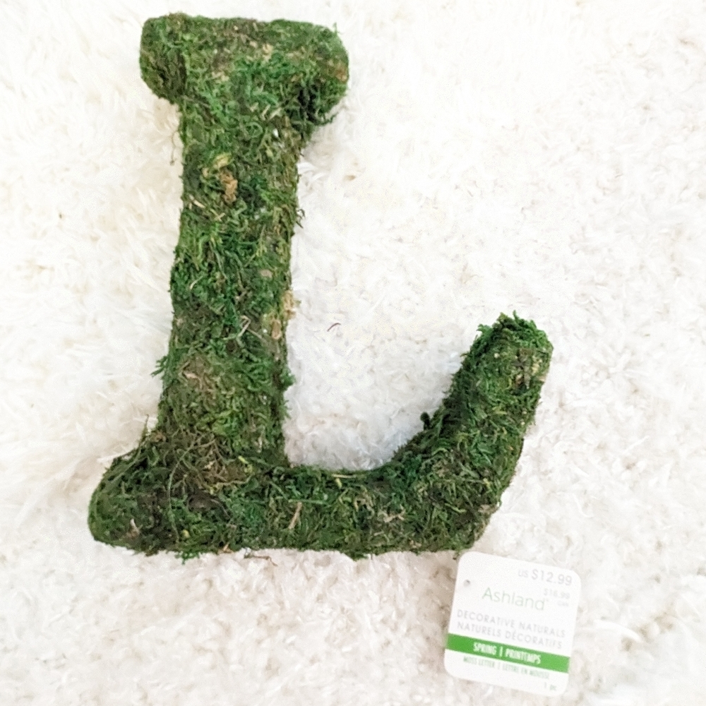 Ashland Decorative Moss Initial Letter L NWT